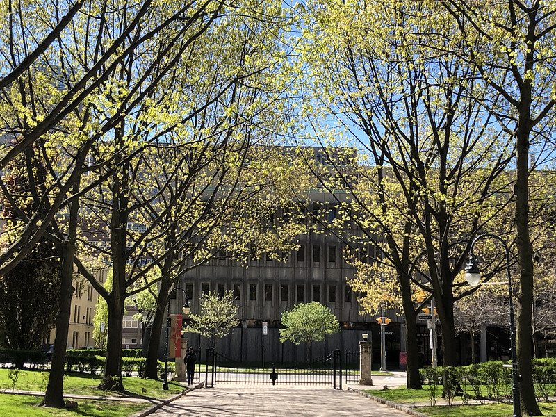 This is a image alt text